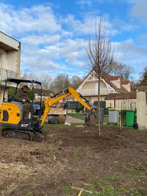 Plantation d'arbre