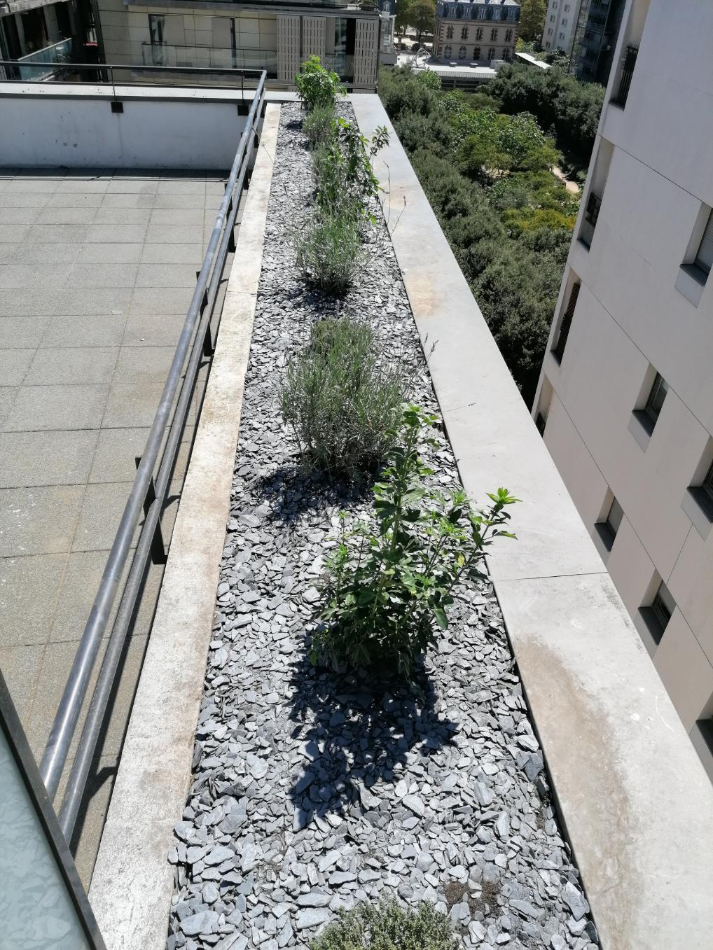 Terrasse parisienne