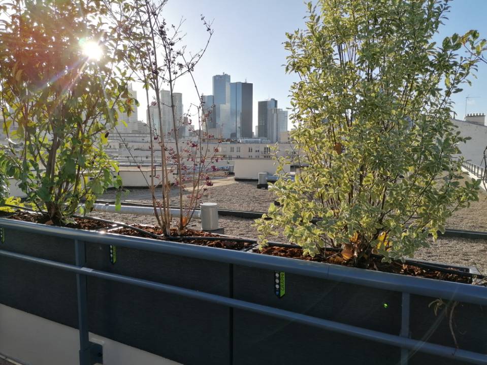 Aménagement d'une terrasse