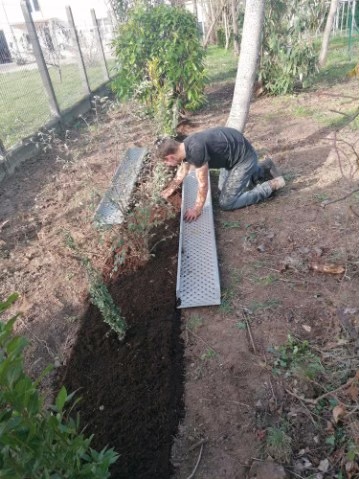 Plantation d'une haie