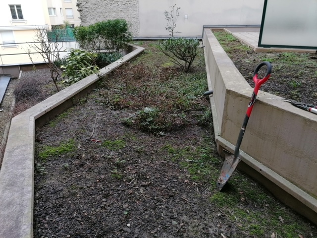 Paillage minéral cour intérieure - Avant