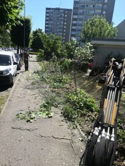 Pose d'un grillage rigide avec brande de bruyère